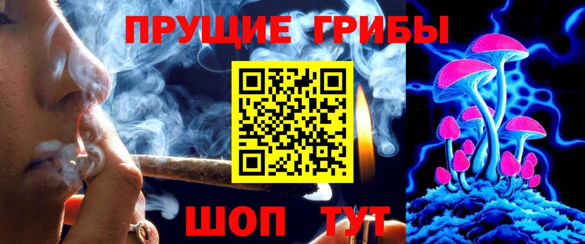 Гашиш Богданович