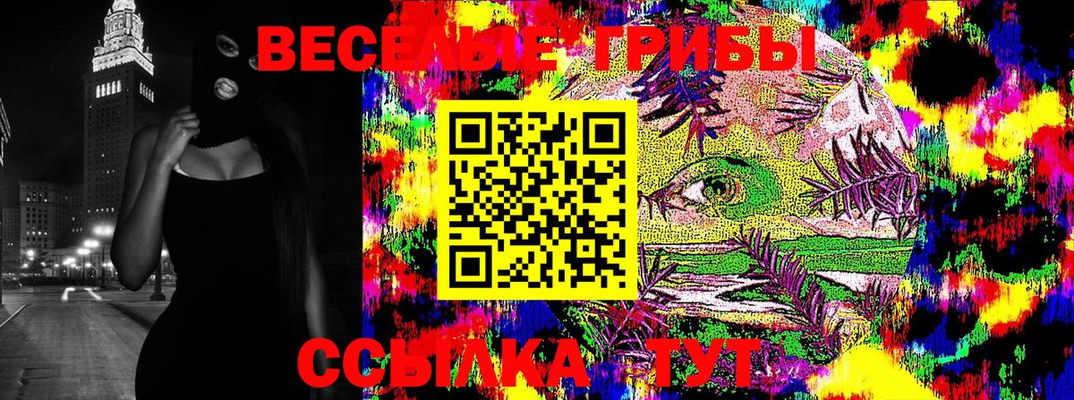 Галлюциногенные грибы Cubensis  Вход с VPN  Псилоцибиновые грибы Psilocybe  Богданович 