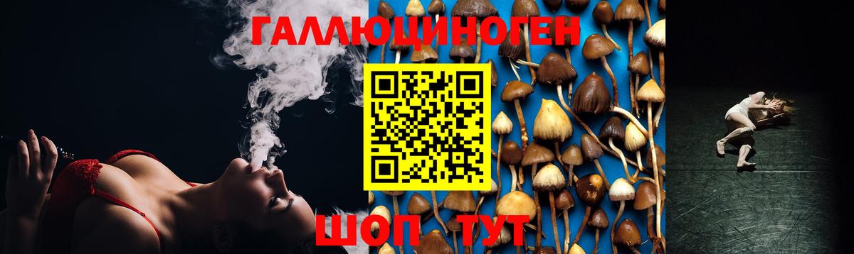 Псилоцибиновые грибы Magic Shrooms Богданович