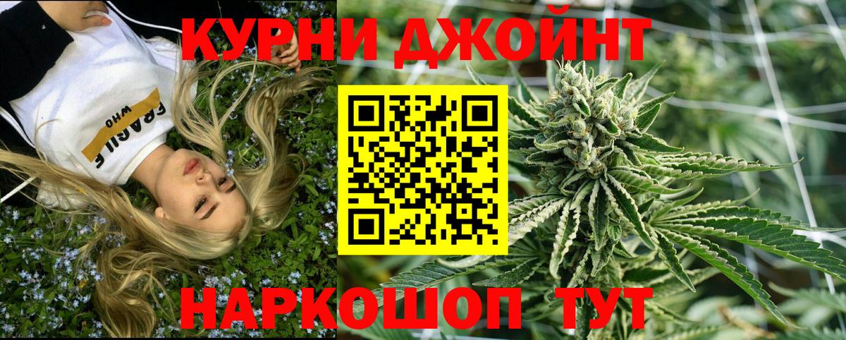 Каннабис план Богданович